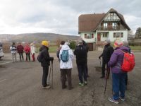 Balade dans le vignoble de Dorlisheim - 13/01/2025